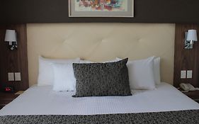 Casa Inn Business Irapuato